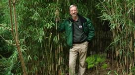 Our man in savannah: behind the plants at Dublin Zoo