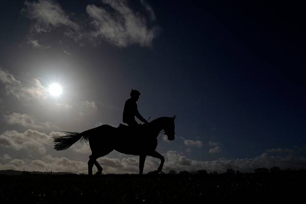 County Cork point to point fixture called off due to coronavirus