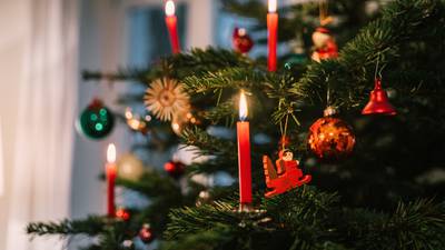 Why we celebrate Christmas on the 25th, eat mince pies and put up trees