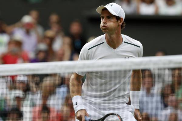 Wimbledon: Andy Murray allays fitness worries with confident win