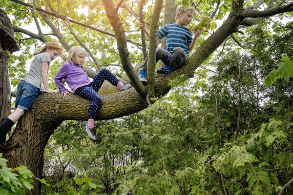 Child’s play: how risky activity is vital to learning how to be safe