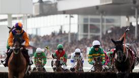 Surge in horse-racing syndicates still far behind boom days