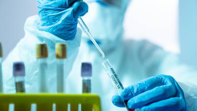 Oxford scientists develop five-minute Covid-19 antigen test