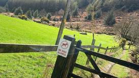 Wicklow walking trail closed to public after alleged assault of landowner