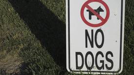 Confused about ‘no dogs’ rule