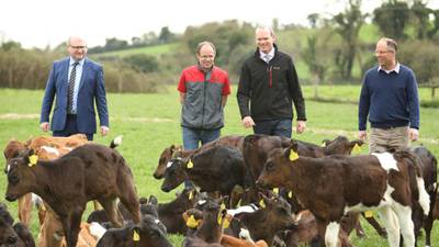 Coveney says this will be a watershed year for farm safety
