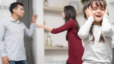 Children need to be listened with regard to domestic violence, conference told