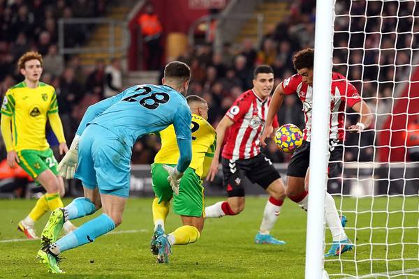 Norwich suffer a two-nil battering away to Southampton