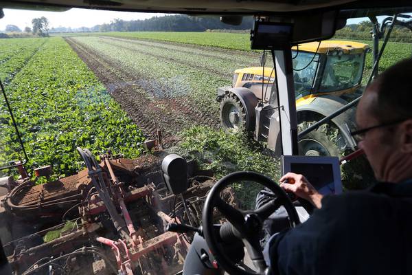 Origin numbers boosted by uptick in farming activity