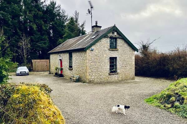 Two-acre hideaway at forest’s edge for €279,000 in Leitrim