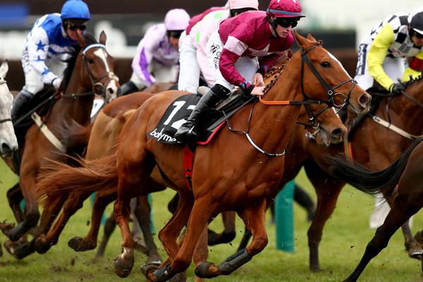 Samcro aiming to justify hype against his seniors at Punchestown