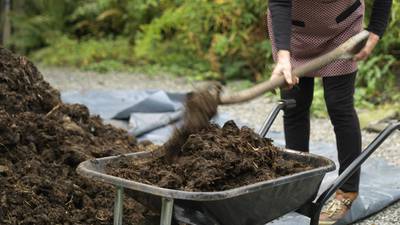 Mulch: the great garden cure-all