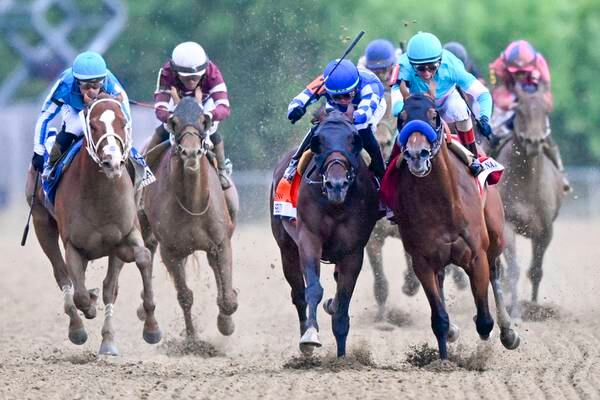 US racing faces a reckoning as horse deaths continue to rack up