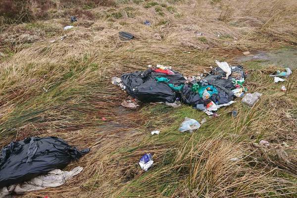 Litterers to be punished with higher fines as laws overhauled