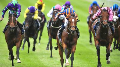 Gleneagles tipped to pitch up at Royal Ascot next