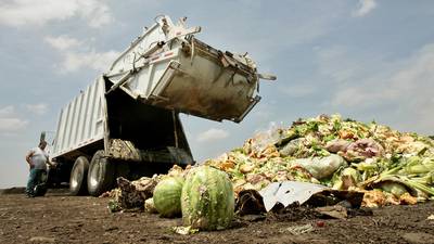 The fightback against food waste