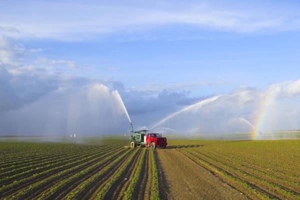 The Irishwoman who’s an expert in conserving water in Florida