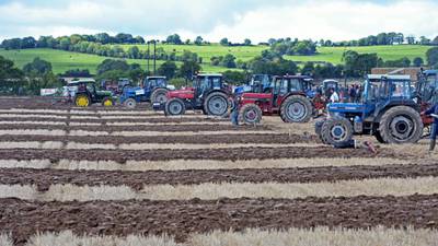 Ploughing championships leaves  other festivals trailing
