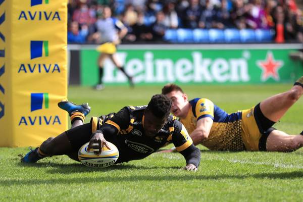 Wasps warm up for Leinster with Worcester win