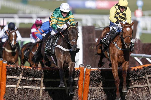 Melon poised to reassert his Champion Hurdle credentials