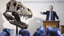 ‘A fair price for the dino’: T-rex skeleton sells for almost €5m at Zurich auction