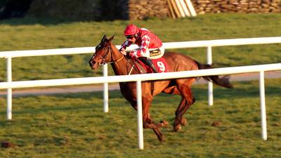 Gordon Elliott saddles four winners at Punchestown