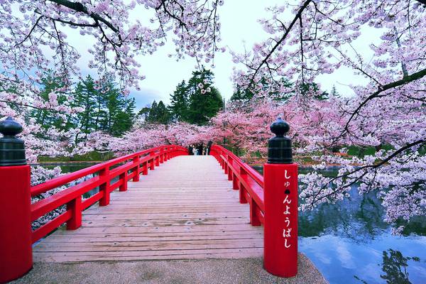Armchair travel: Look east and discover Japan from home