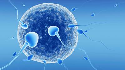 Anonymous sperm and eggs to be banned by autumn