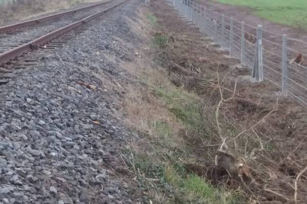 Anger as Irish Rail removes hedgerows along Limerick Junction-Waterford line