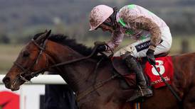 Quevega romps home as nose bleed sees withdrawal of  Solwhit
