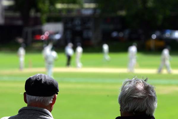 Poems of the week: Cricket in College Park, and Roof