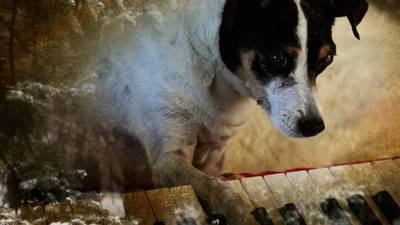 ADiff review: Laurie Anderson’s five-star dogumentary