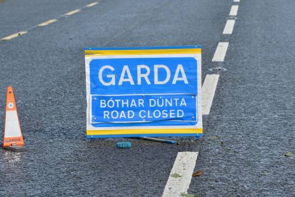 Driver comes forward after fatal Co Longford ‘hit and run’