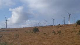Decommissioning Derrybrien windfarm could trigger environmental disaster - Independent Senators