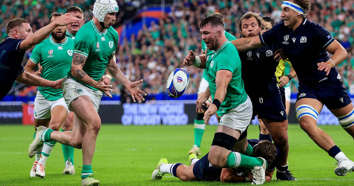 Gordon D’Arcy: All Blacks don’t know how to be underdogs and Ireland can exploit that