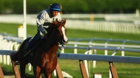 Remarkable story of California Chrome a boon for romantics