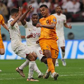 Cody Gakpo on target again as Netherlands stroll past Qatar to top Group A