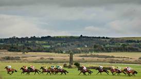 Punchestown to hold precautionary inspection