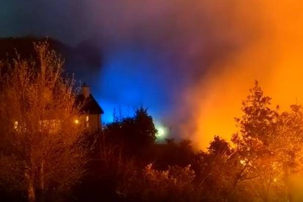 Fire at forest in Co Down is likely to have been started deliberately - police