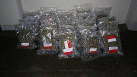 Cannabis worth €620,000 seized in Co Meath