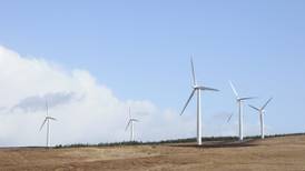Microsoft and General Electric invest in Irish wind technology