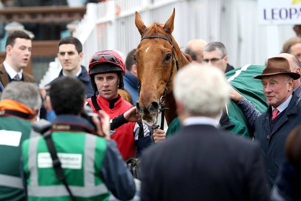 English stalwart Simply Ned back in Leopardstown for a sixth time