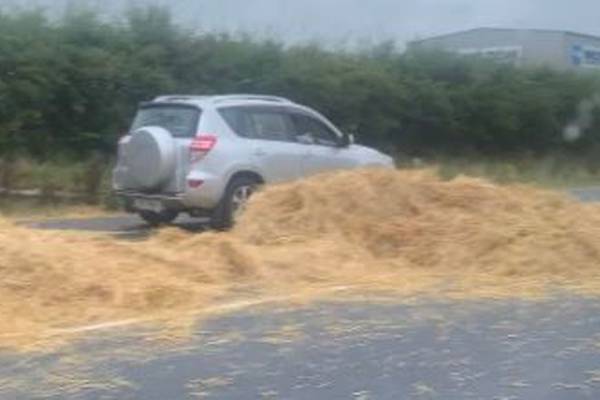 Truck shedding bales of hay on M7 delays All-Ireland hurling semi-final