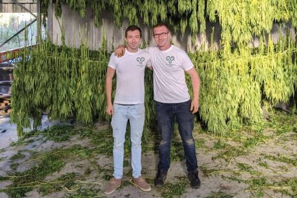 Irish start-up raises funds to get farmers to grow hemp using drones