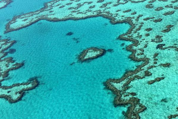 Great Barrier Reef should be placed on world heritage ‘in danger’ list, report recommends