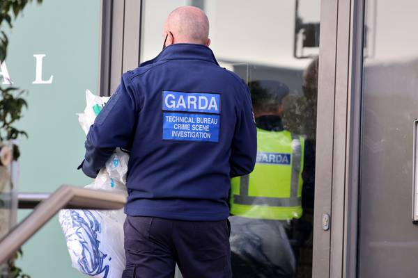 Man held over Dublin murder was undergoing mental health treatment