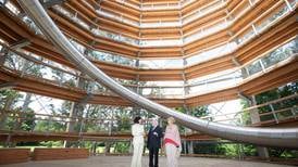 Spectacular suspended walkway and 12-storey slide opens at Avondale Forest Park