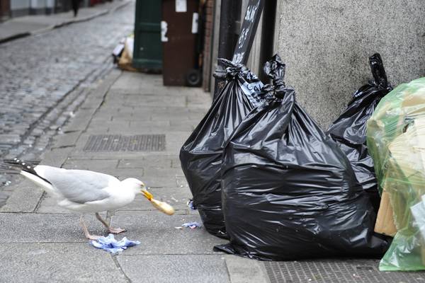 The Irish Times view on Ireland’s litter problem: dirty old towns