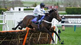 Trainer who moulded emerging Constitution Hill hoping for Champion Hurdle catch