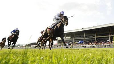 Trading Leather aims to add King George to Irish Derby success